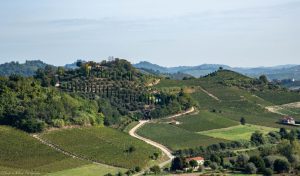 A Language Lesson in Roero Wines – Drink In Life